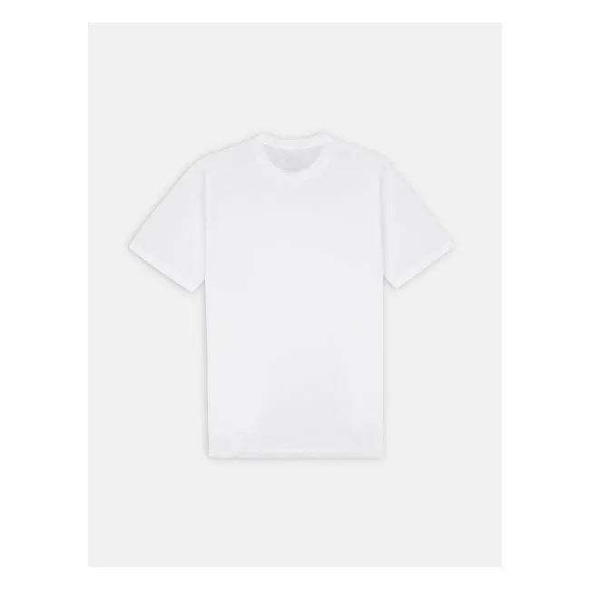 Dickies T-Shirt Pack Dark White