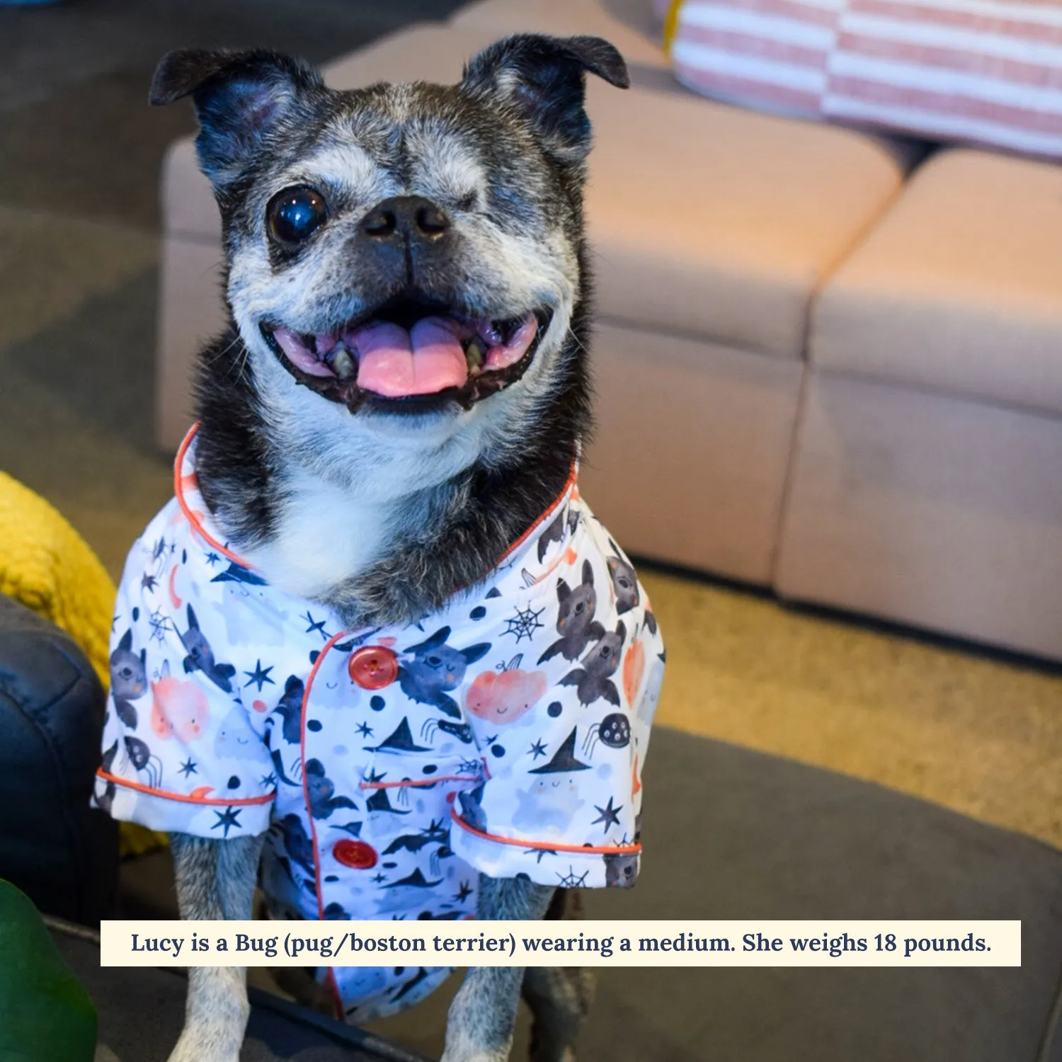 Halloween Night Dog Pajamas   Human Eye Pillow