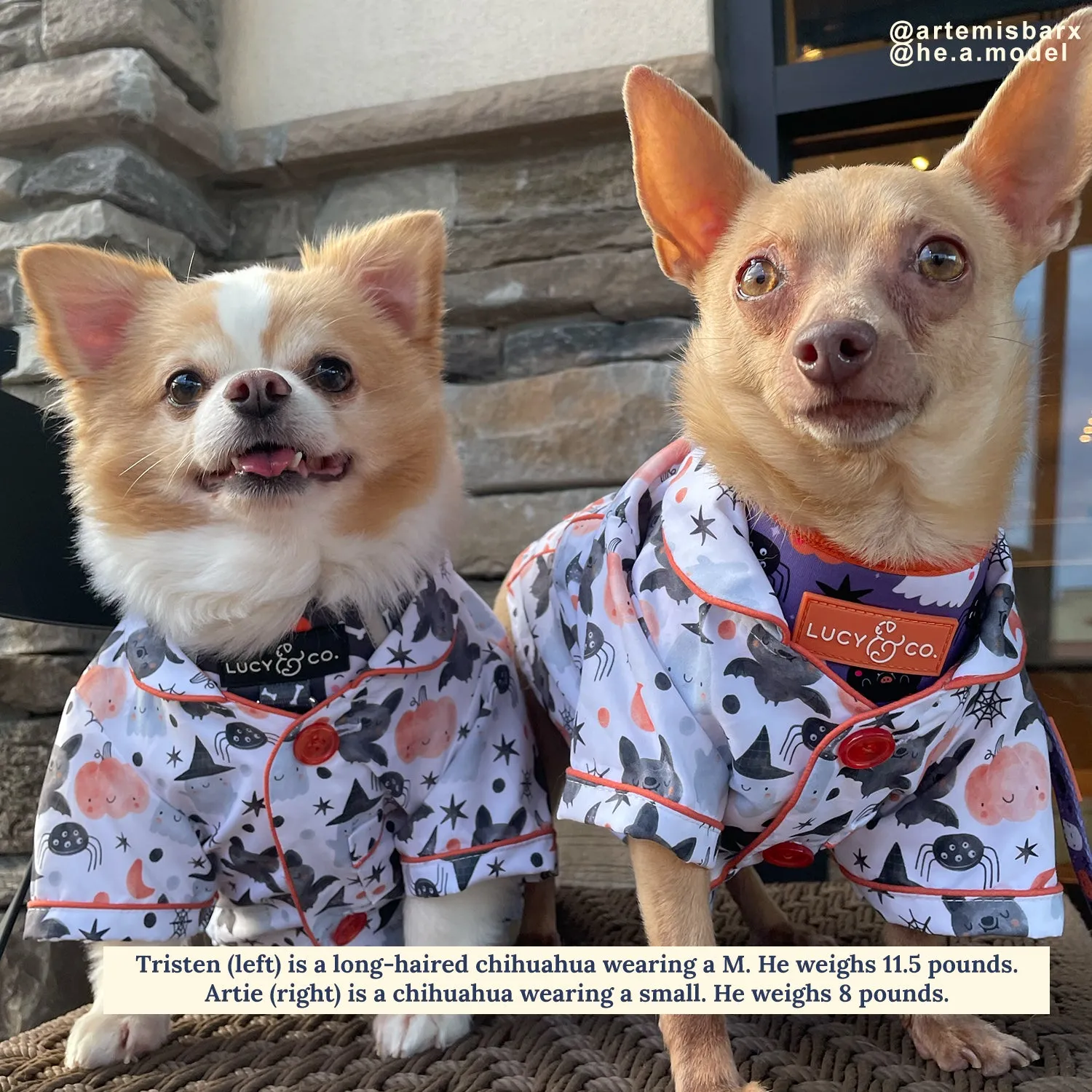 Halloween Night Dog Pajamas   Human Eye Pillow