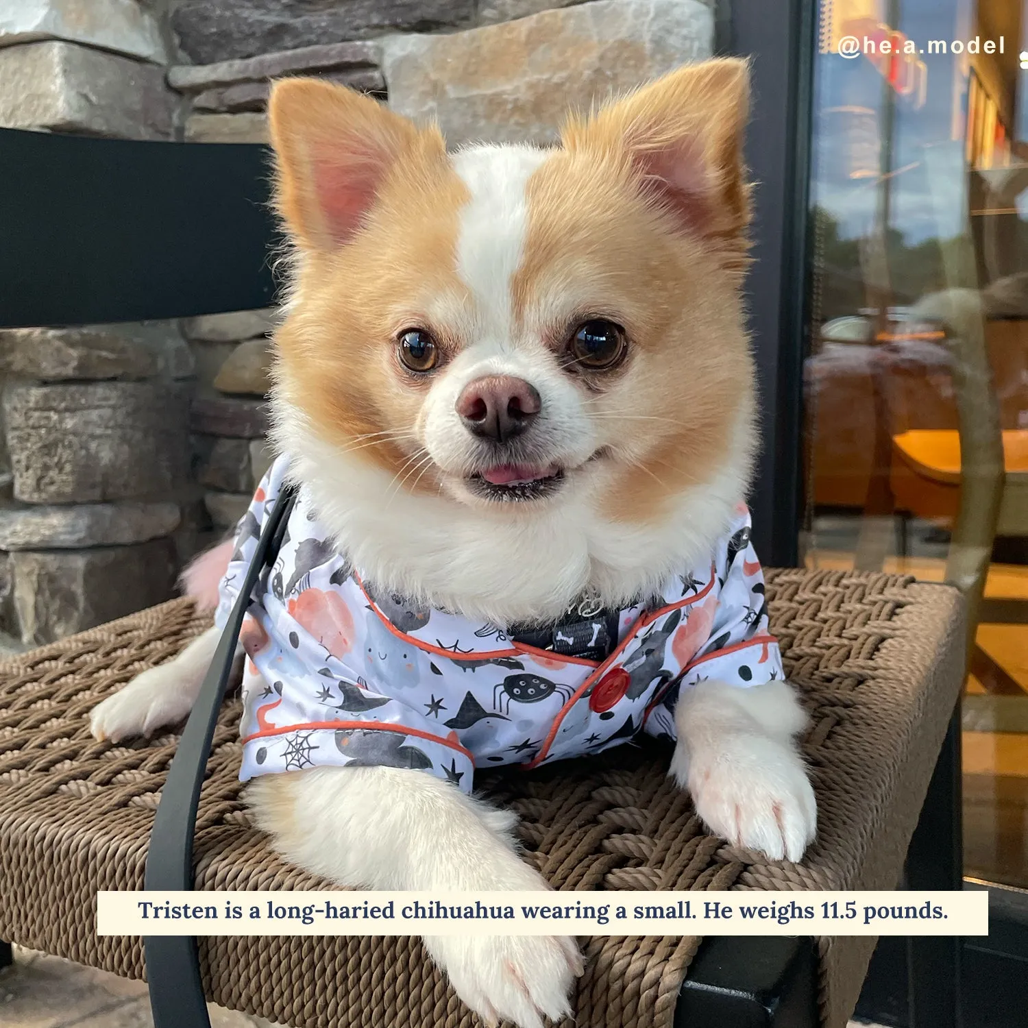 Halloween Night Dog Pajamas   Human Eye Pillow