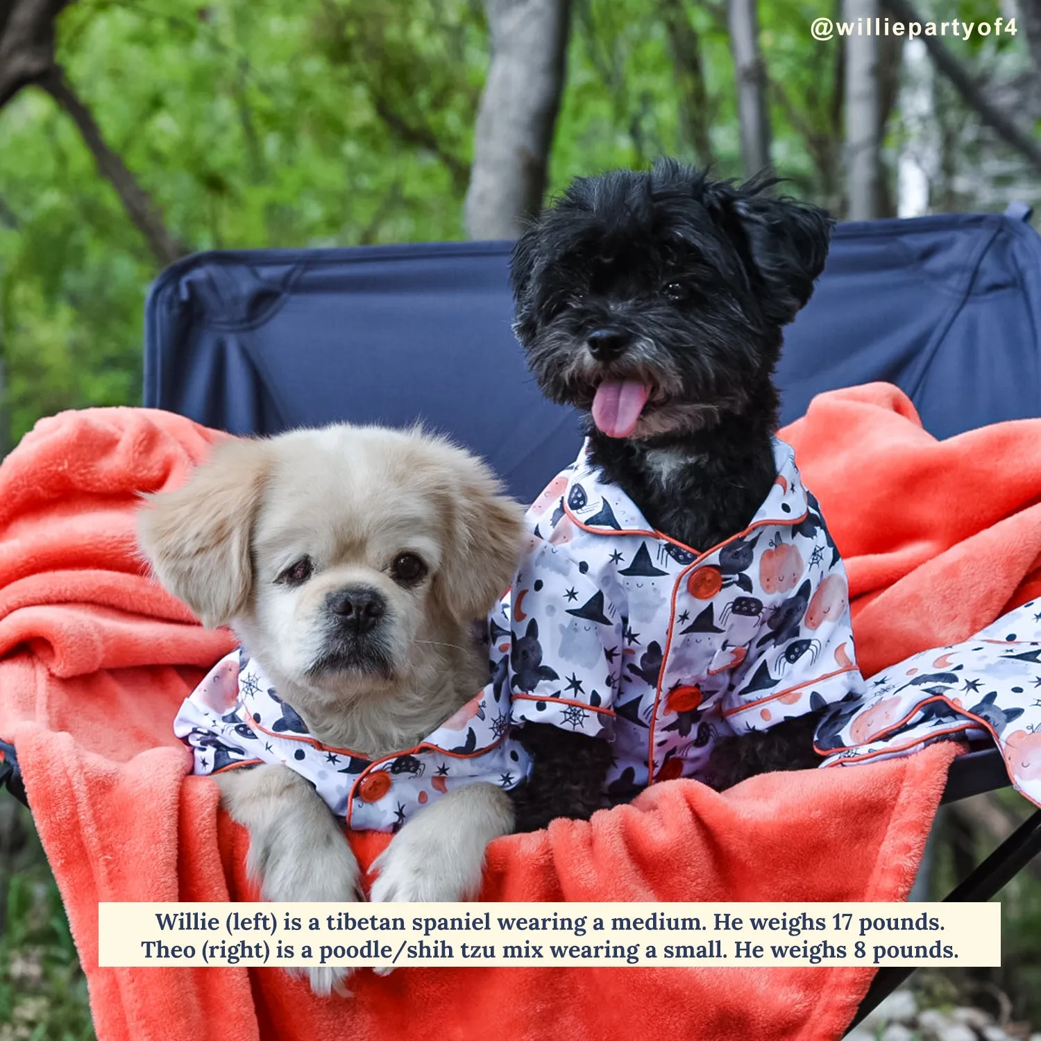 Halloween Night Dog Pajamas   Human Eye Pillow