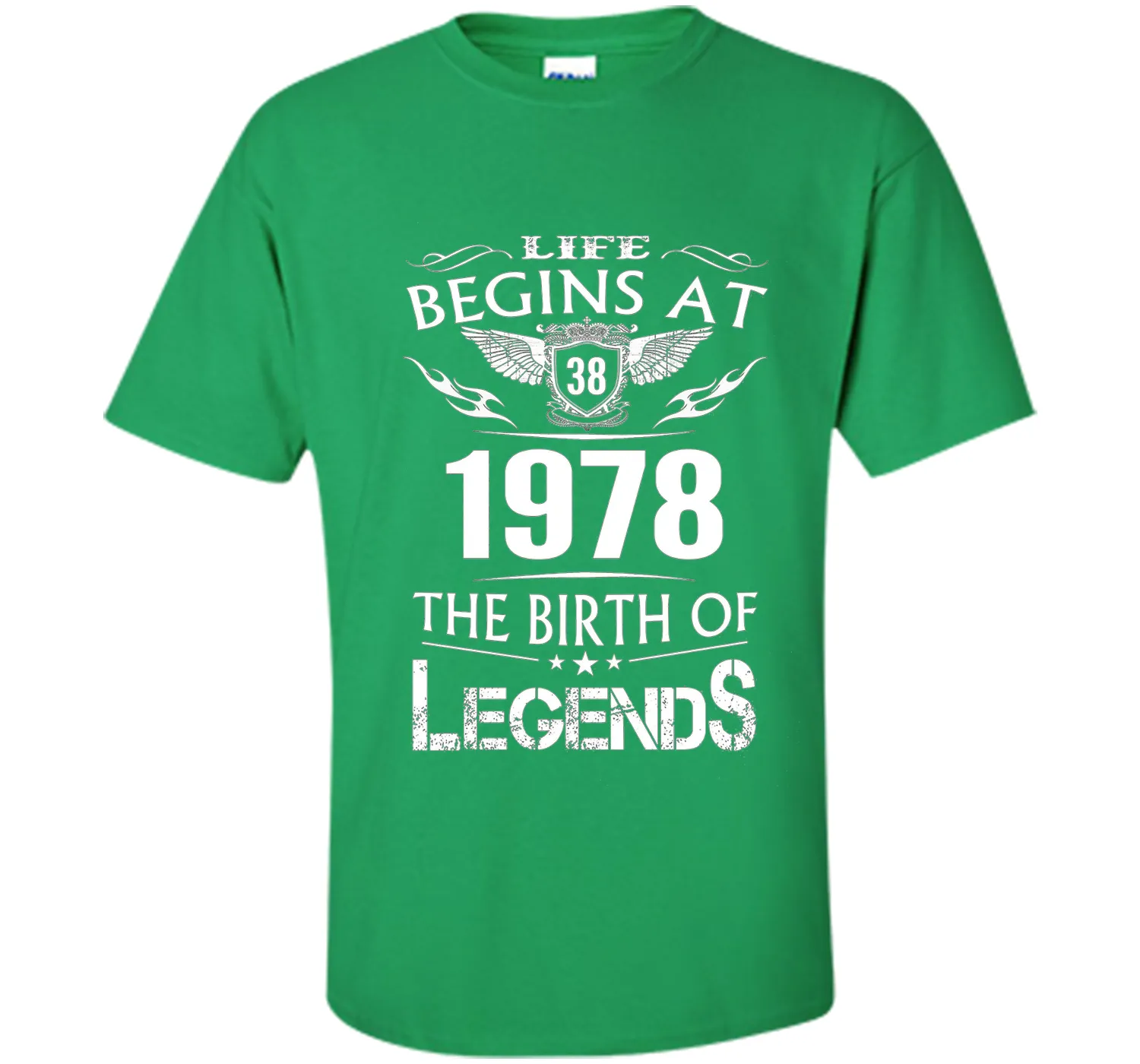 Life Begin At 38 - 1978 Birth Legends 38th Birthday T-shirts