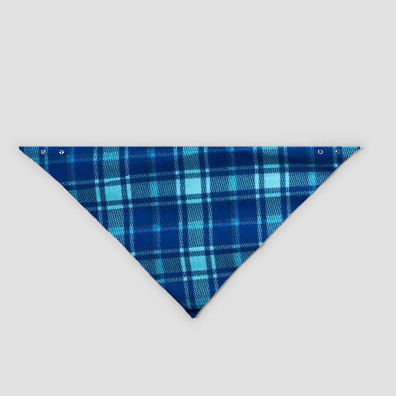 "We Wish You a Merry Christmas" Printed Blue Long Sleeve Top With Blue&Green Plaid Couple Matching Pajamas